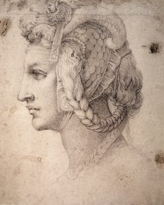 Estudio de Cabeza de Michelangelo Buonarroti