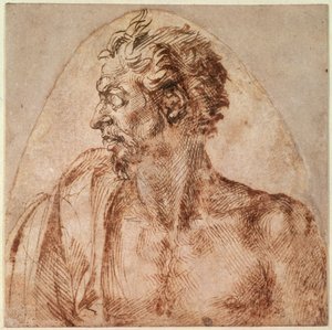 Estudio de cabeza y hombros de Michelangelo Buonarroti