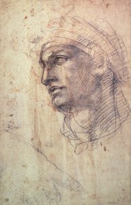 Estudio de una cabeza de Michelangelo Buonarroti