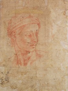 Estudio de una cabeza de Michelangelo Buonarroti