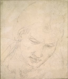Estudio de una cabeza de Michelangelo Buonarroti