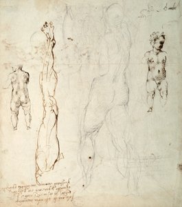 Estudio del Niño Jesús y un dibujo anatómico con notas (tiza negra y tinta marrón sobre papel) (verso) de Michelangelo Buonarroti