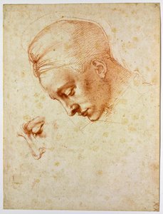 Estudio para la cabeza de Leda de Michelangelo Buonarroti
