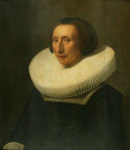 Retrato de una dama de 58 años de Michiel Jansz. van Miereveld