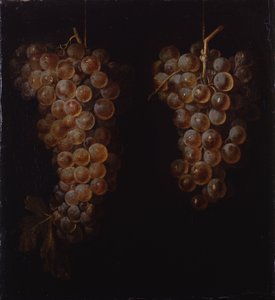 Racimos de uvas de Miguel de Pret