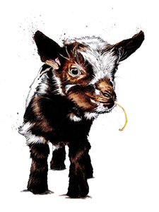 Cabrito sobre blanco, 2020