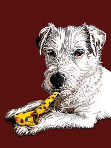 Cumpleaños del perro párroco en óxido rojo, 2020