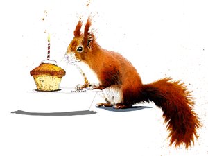 Ardilla de cumpleaños sobre blanco, 2020