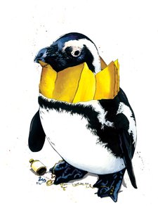 Pingüino de Navidad sobre blanco, 2020 de Mike Davis