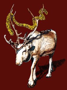 Reno de Navidad en óxido rojo, 2020 de Mike Davis