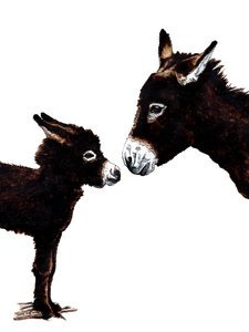 Burro madre y bebé sobre blanco, 2020 de Mike Davis
