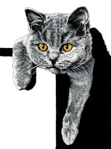 Flora La Gatita en Blanco, 2019 de Mike Davis
