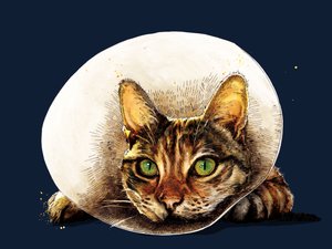 Gato de bienestar en azul noche, 2020 de Mike Davis