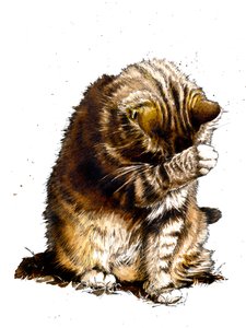 Smallfry El Gato en Blanco, 2019 de Mike Davis