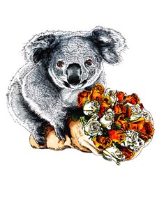 Gracias Koala on White, 2020 de Mike Davis