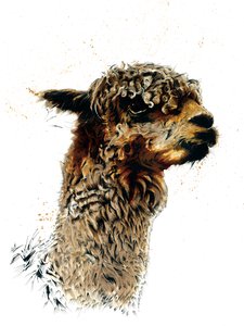 La alpaca en blanco, 2019 de Mike Davis