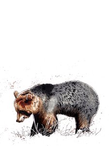 El Oso en Blanco, 2020 de Mike Davis