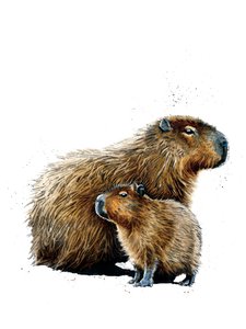Los Capibaras en Blanco, 2019 de Mike Davis