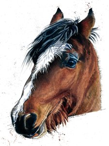 El caballo en blanco, 2020