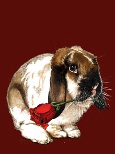 El conejo del amor en óxido rojo, 2020 de Mike Davis
