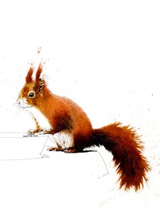 La ardilla roja en blanco, 2019 de Mike Davis
