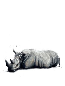 El rinoceronte en blanco, 2019 de Mike Davis