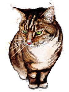 El gato atigrado en blanco, 2020