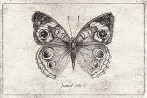  de Mike Koubou