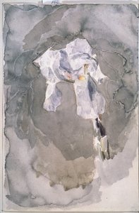 Iris blanco de Mikhail Aleksandrovich Vrubel
