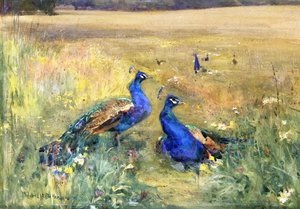 Pavos reales en un campo de Mildred Anne Butler