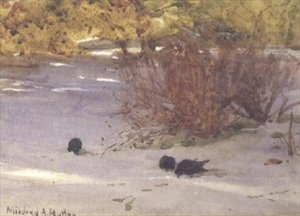 Sombras en la nieve
