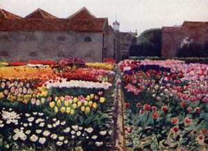 El Jardín de un Cultivador de Bulbos