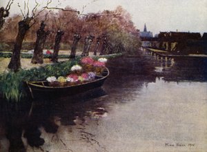 Flores de Jacinto yendo al Mercado de Mima Nixon