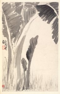 Plantas de plátano, 1788 de Min Zhen