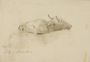 Búfalo, Golfo de Nicomedia de Miner Kilbourne Kellogg