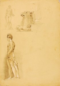 Estudios de Sculante de Miner Kilbourne Kellogg