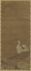 Garzas y plantas acuáticas