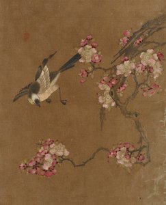 Diez imágenes de pájaros y flores (color sobre seda)