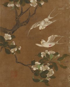 Diez imágenes de aves y flores