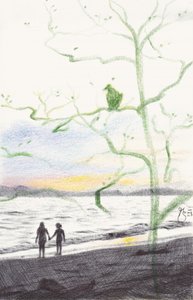 Puesta de sol en Green Tree Beach de Mirjam Schrei