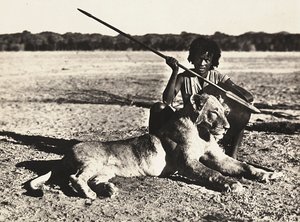 Construyendo un Imperio en la era fascista: ejemplo de un león, 09/05/1936 de Modestino Baldinetti