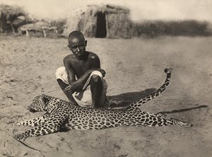 Construyendo un Imperio en la era fascista: indígena mostrando un leopardo, 09/05/1936