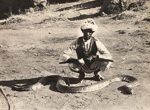 Construyendo un Imperio en la era fascista: indígena con una pitón, 09/05/1936