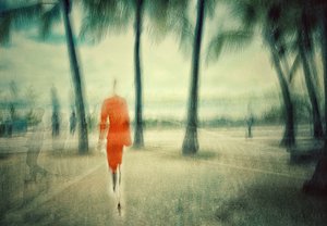 Paseo del Sueño Naranja de Molly Fu APA