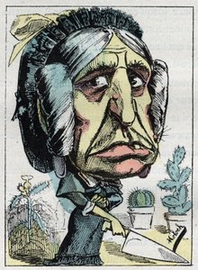 Alegoría de la "madrastra" (Belle mere) en "Le Trombinoscope" por Touchatout, caricatura de B. Moloch de 1882. Colección privada. de Moloch