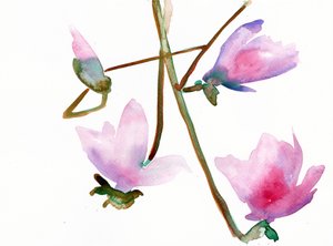 Magnolia 1, 2022 (acuarela sobre papel Langton de 300 g/m² prensado en frío)
