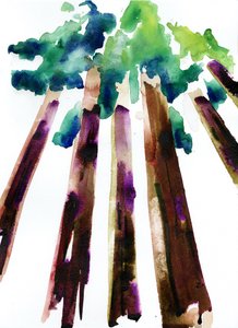 Sequoia, 2021 (acuarela sobre papel Langton de 300 g/m² prensado en frío)
