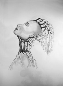 Muerte de un árbol 2