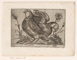 dos codornices Quaglie (título sobre objeto) Pájaros (título de la serie) de Monogrammist AG