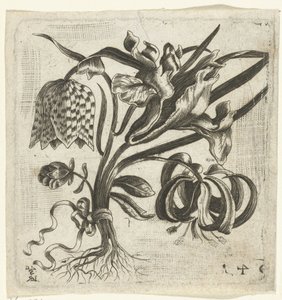 Ramo pequeño con flores